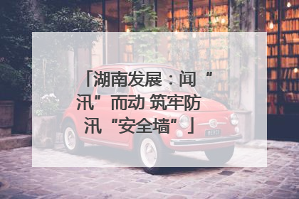 湖南发展：闻“汛”而动 筑牢防汛“安全墙”